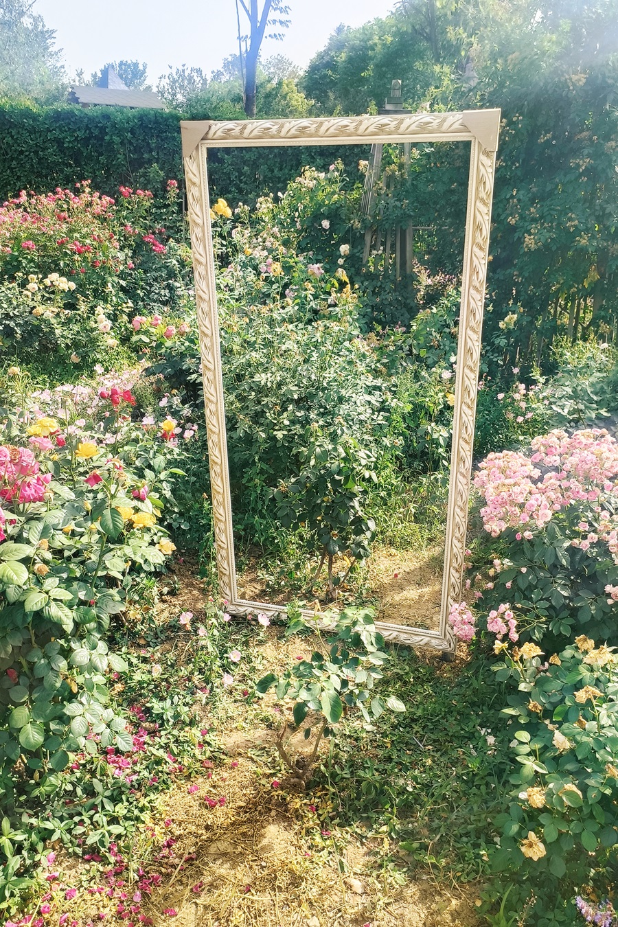 画框打卡.jpg