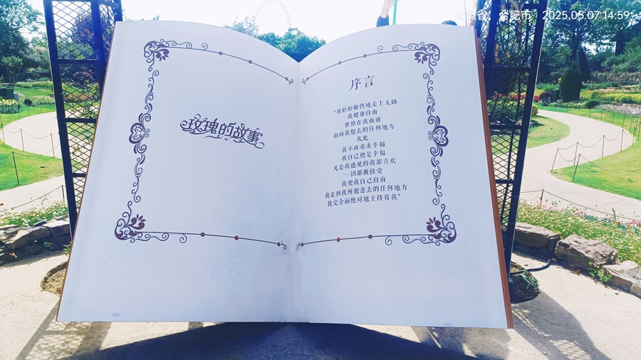 玫瑰的故事书.jpg