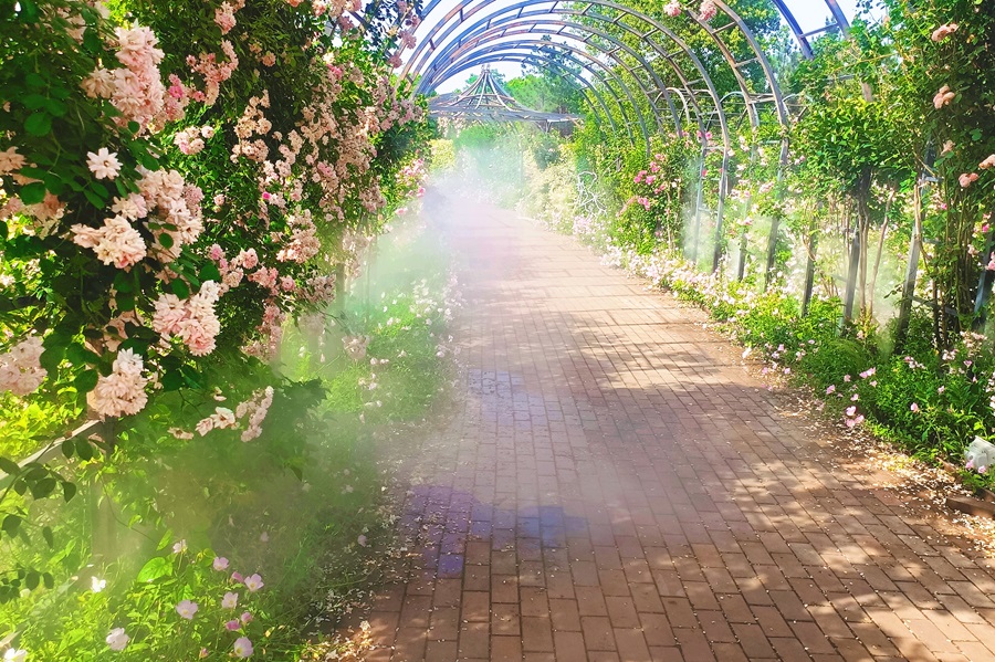 雾森系统.jpg